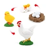 4Pcs Chick Life Cycle Model,Realistic Animal Life Growth Cycle Biological Model Kid Educational Figures Toys 4