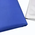RoyalBlue