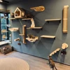 Cat Tree Wall Mounted Climbing Shelves Wooden Hammock with Ladder and Cat Bridge for Cat Perch Sleeping Pet Indoor Playground 2