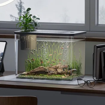 Transparent Hydroponic Fish Tank 1