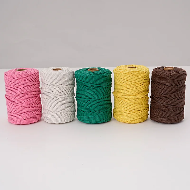 12 Rouleaux Cadeau Corde De Chat Cordon De Couleur Aléatoire Artisanat