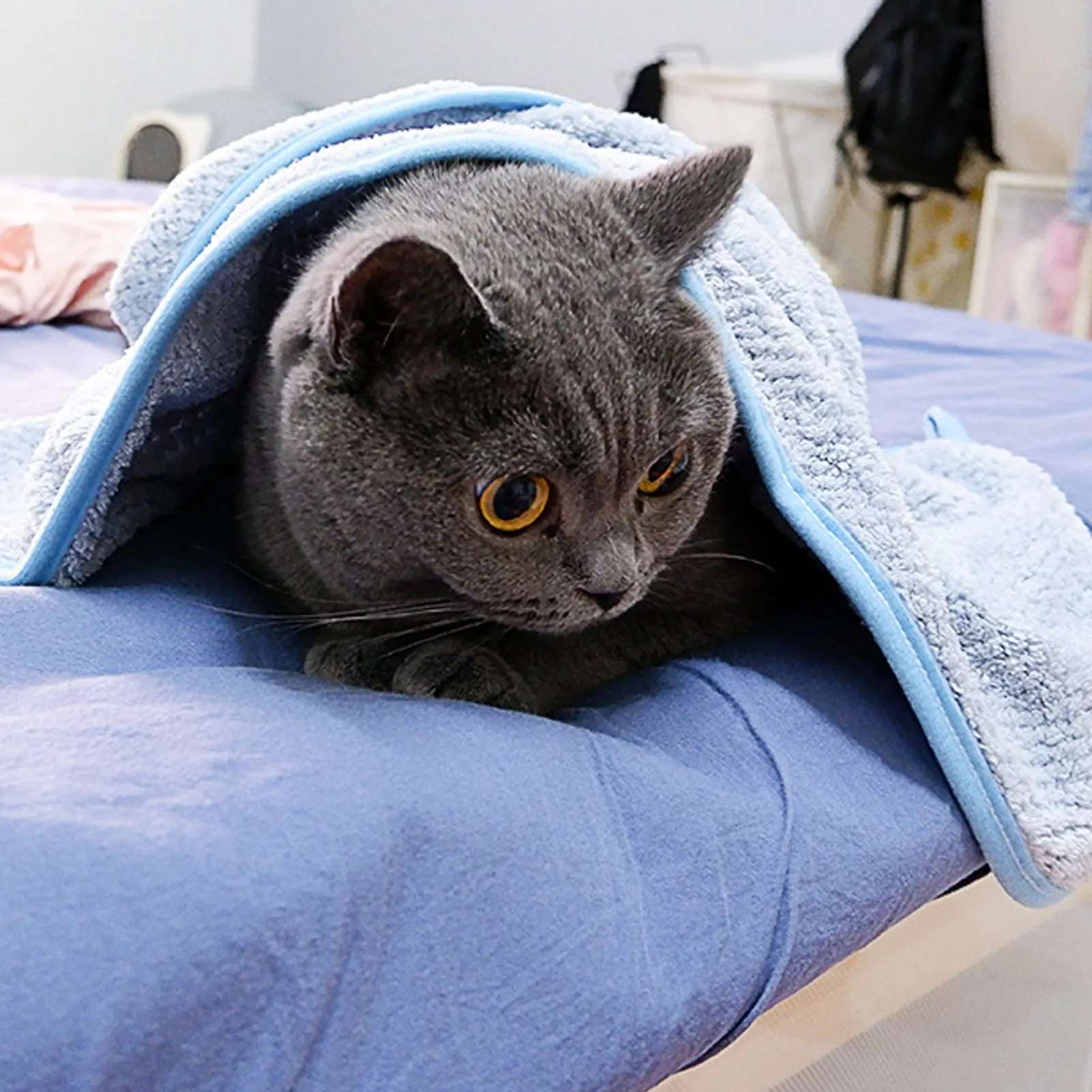 Pet Bath Towel Highly Absorbent Soft Comfortable Pet Grooming Towel Dog Towels For Drying Dogs For Cat Apricot