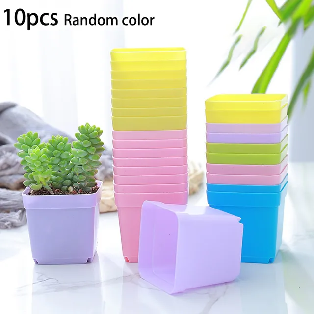 Pot de fleur succulent en plastique coloré, petit pot de semis, récipient  de pépinière carré, bassin 10x, 10 pièces - AliExpress