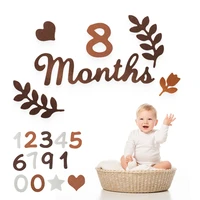 0-10 Digital Milestones Newborn Baby Milestone Wool Felt Digital Milestone Card Baby Newborn Photo Accessories Photography Gifts 1