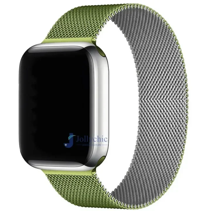 Magnetic Stainless Steel Loop Strap