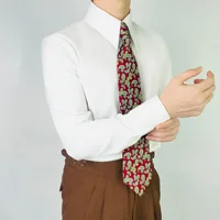 2025 nouvelle haute qualité col étalé chemise pour hommes sans plis à manches longues coupe ajustée affaires décontracté Vintage tenue de bureau hommes chemises 3