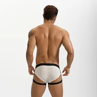 Sous-vêtements pour hommes en soie glacée, slips, string sexy avec pochette, string taille basse, bikini, sous-vêtements en maille respirante 2