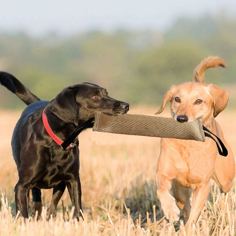 Dog chewing toys Dog Chewing Toy Training Bite Pillow With 2 Rope Hemp Dog Bite Stick Tug Cloth Handles Accessories