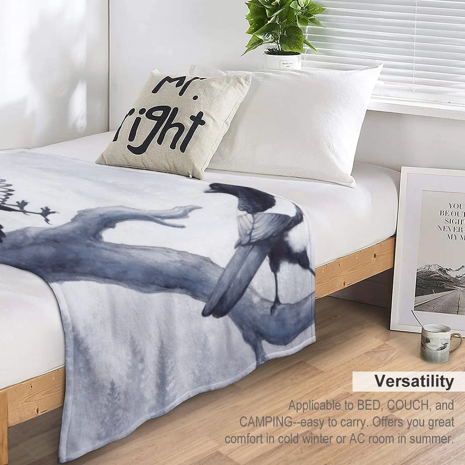 �Ȱ� �� ������ �� ��ġ ������ ���, ħ�� ���Ŀ� ���, �ʴ��� ������ ���