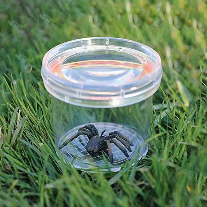 Insect Observation Magnifier Box Cup Nature Exploration Experiment Educational Toys for Kids Children Birthday Christmas Gift 4