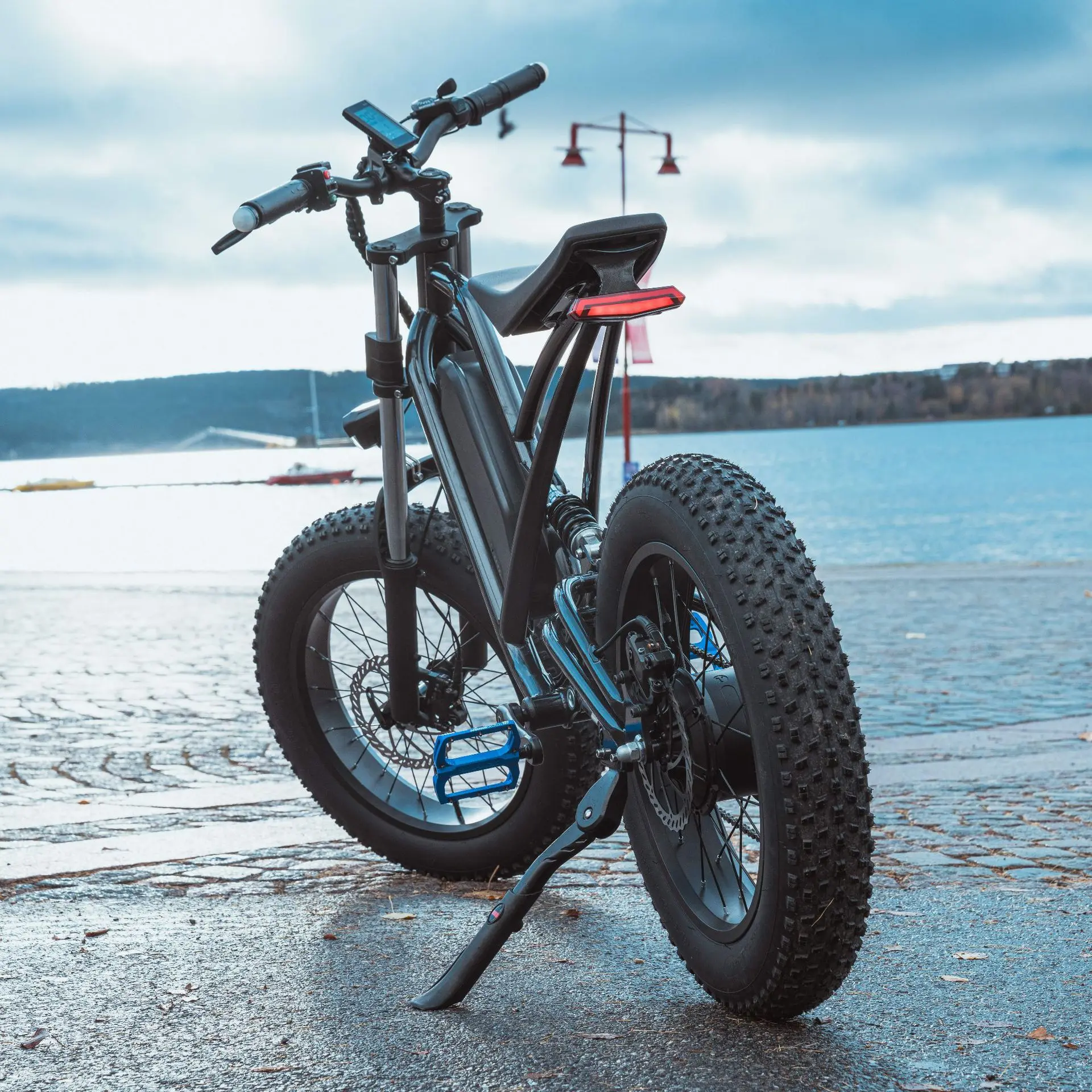 Electric mountain bike bicycle 20 inches 1000w fat tire electric motorcycle 48V