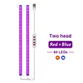 Blue Red Light 2
