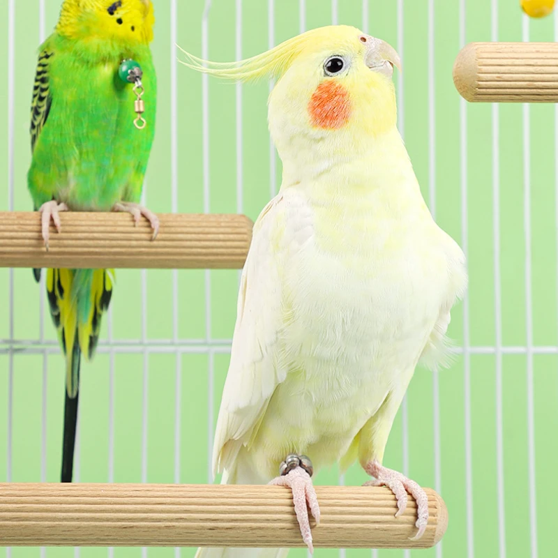 Natural Parrot Wood Standing Toys Parrot Birds Beech Wood Stand Tree Branch Hanging Climbing Toys Bird Stand Stick Cage Perches