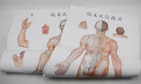 Tableau des méridiens et de l'illustration des points, 3 pièces, points d'acupuncture haute résolution authentiques 4