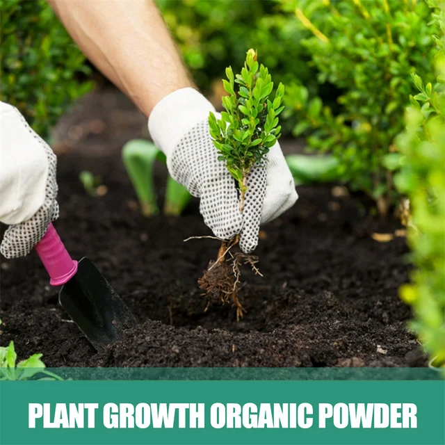 A Növénynövekedés És Fejlődés Átfogó Szabályozása Növény Táplálkozási Por Erősítse Gyökérnövekedés Szerves Műtrágya - Image 6