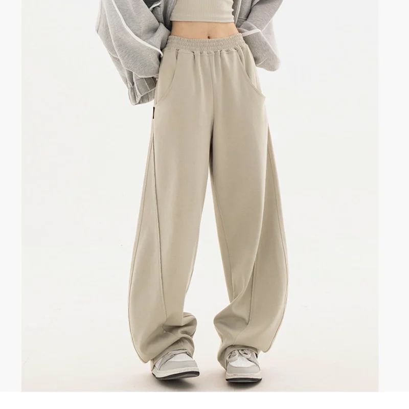 Street Casual Elastic Waist Wide Leg Pants Spring Autumn New Solid Color Loose Simplicity Pants Fashion Trend Women Clothing