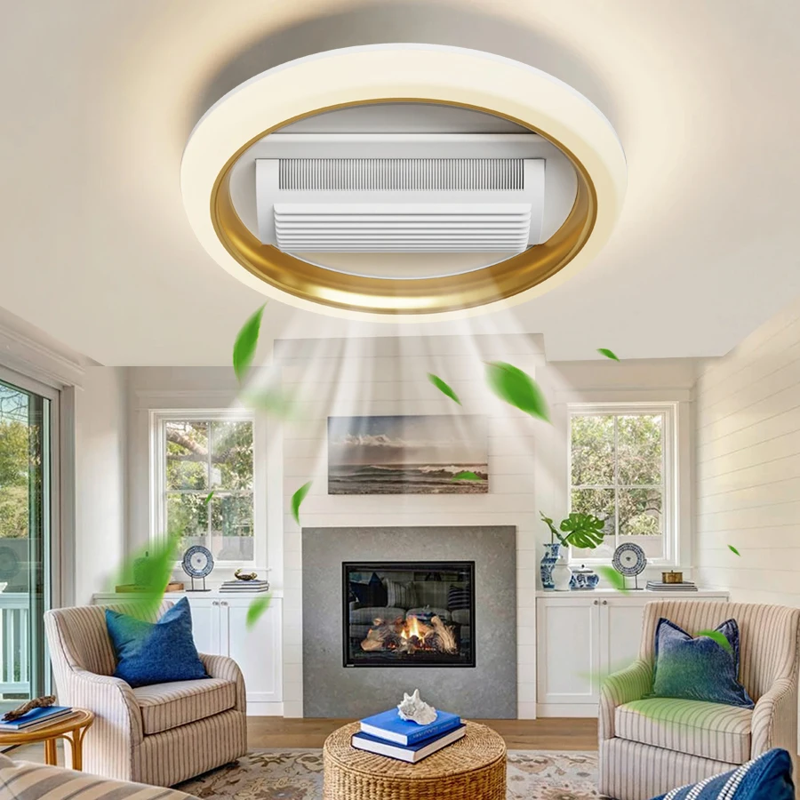 48CM LED Ceiling Fan Light Remote Control With Infinite Dimming 6 Levels Of Wind Speed ​​Living Room Bedroom Chandelier Fan