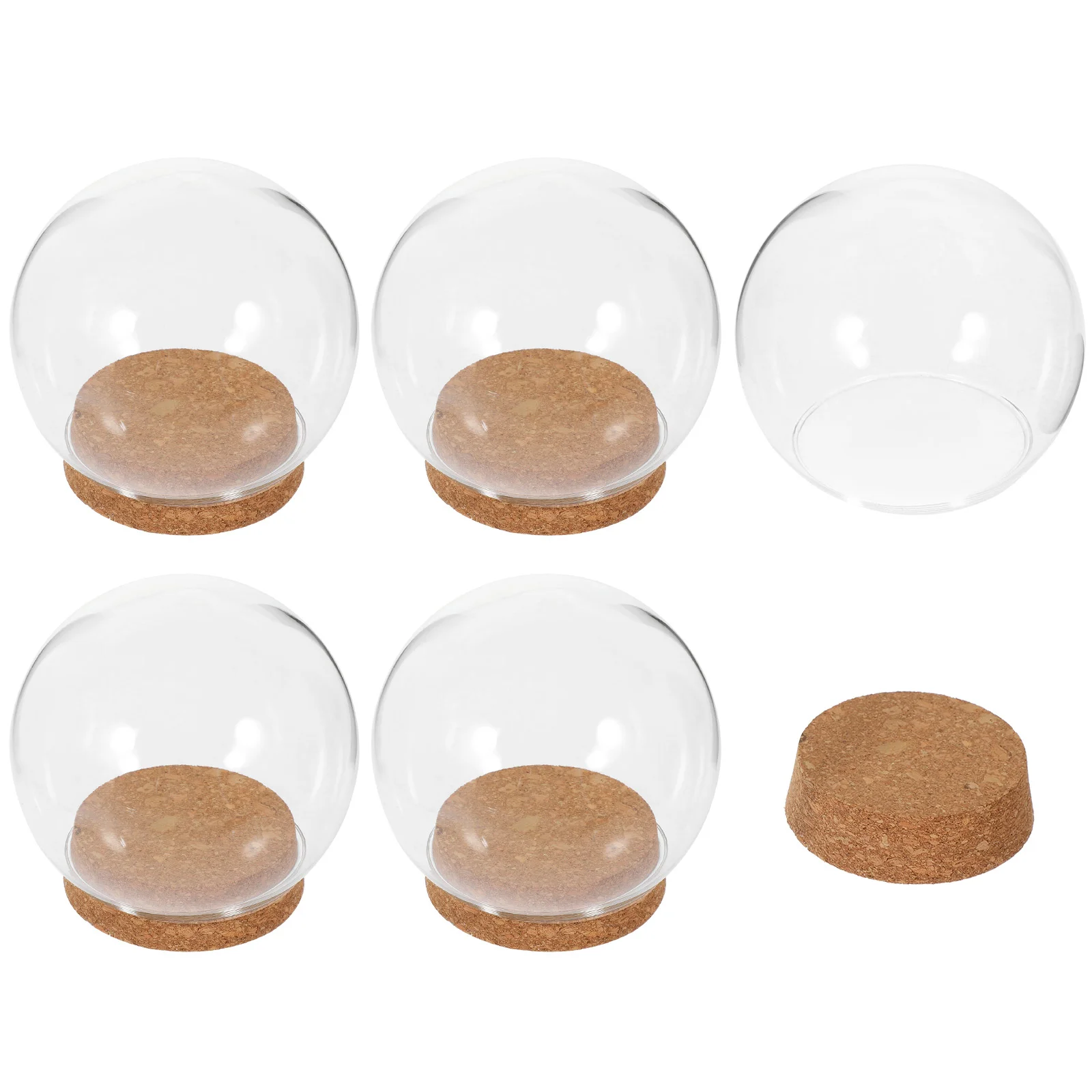 

Preserved Fresh Flowers Glass Cover Eternal Flower Glass Cover Immortal Flower Glass Cover Glass Dome Decoration with Cork