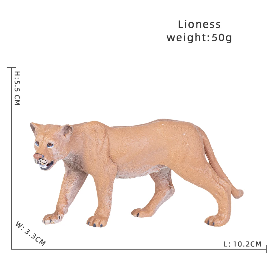 Lioness