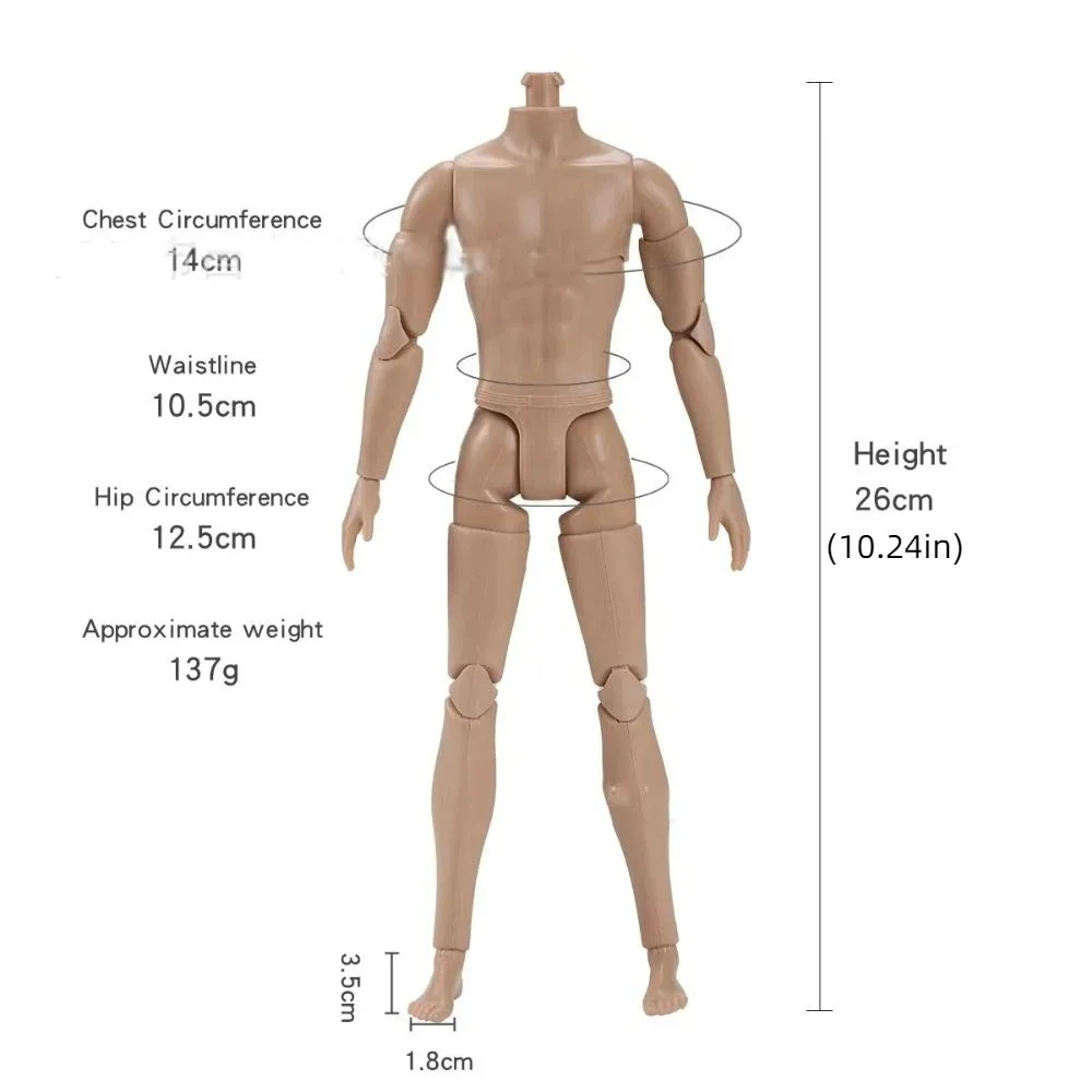 For Children Multi-Joints 1/6 Action Figure 26cm Height Strong Man Male Model 22 Joint Movable Action Figure Body Collections