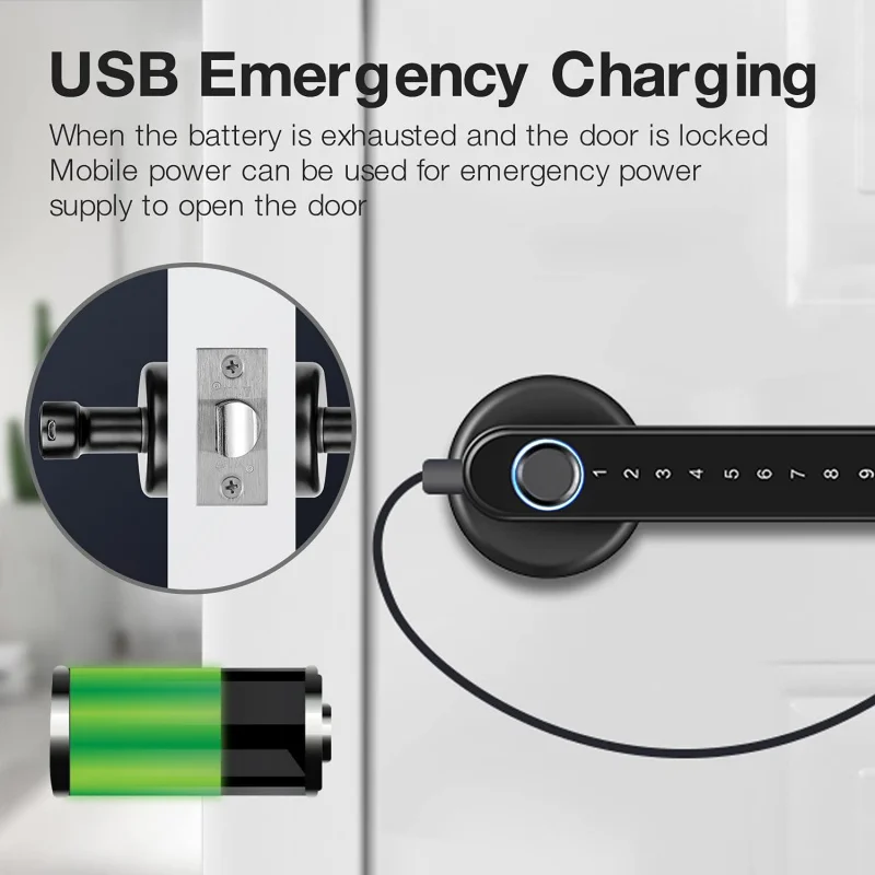 Tuya Smart Handle Bluetooth Lock Fingerprint Lock Mobile Phone App Household Hotel Handle Emergency Charging Password