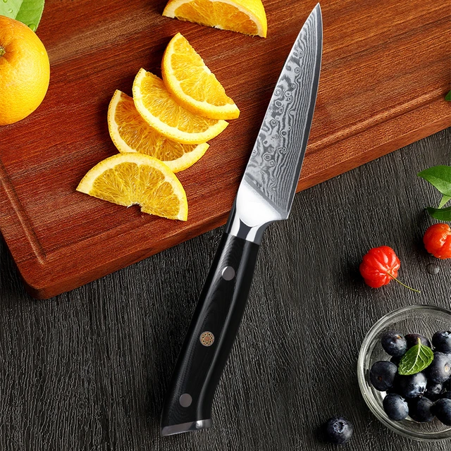 5 Inch Paring Knife - Small Kitchen Knife for Cutting Fruit, Vegetables and  More - High Carbon Steel Ultra Sharp Paring Knives 