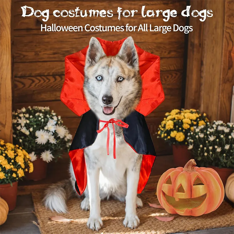 Vampire Pet Cloak Costume 4