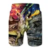 Funny Dinosaur Cat Graphics Beach Shorts Men 3D Print Animal Surfing Board Shorts Summer Hawaiian Swim Trunks Cool Ice Shorts 2