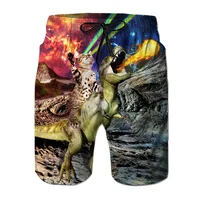 Funny Dinosaur Cat Graphics Beach Shorts Men 3D Print Animal Surfing Board Shorts Summer Hawaiian Swim Trunks Cool Ice Shorts 2