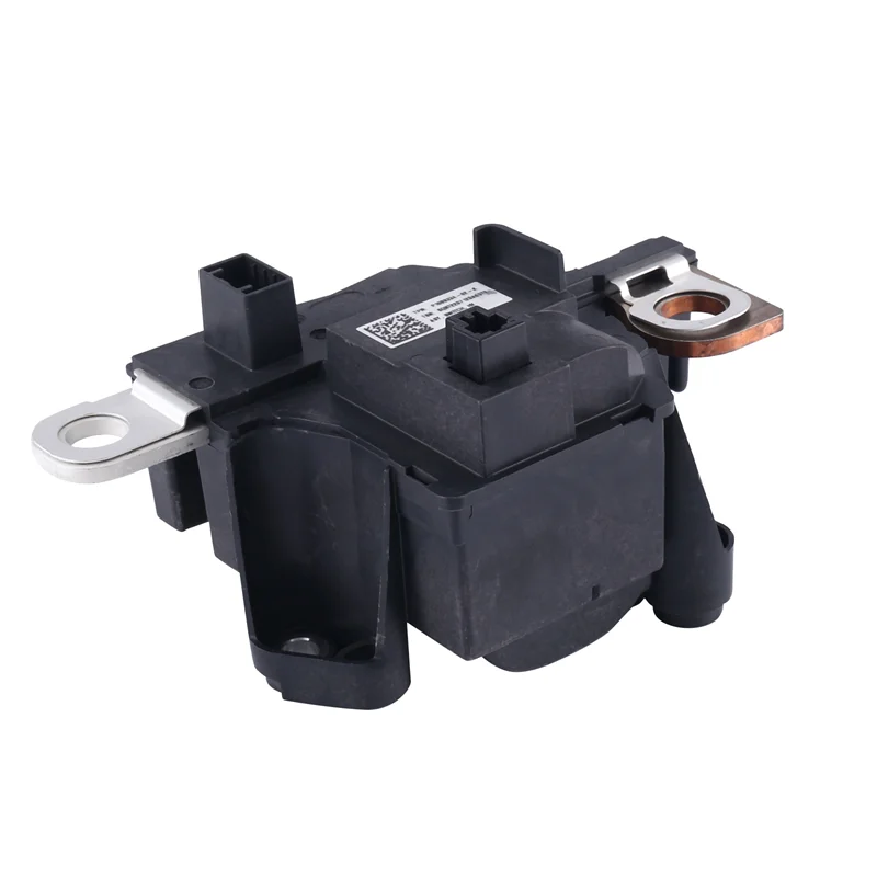 

1089334-02-K Car High Voltage Converter Battery Fuse Switch f