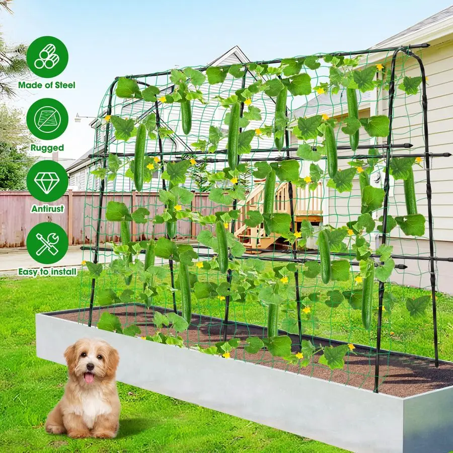 Garden trellis example 5