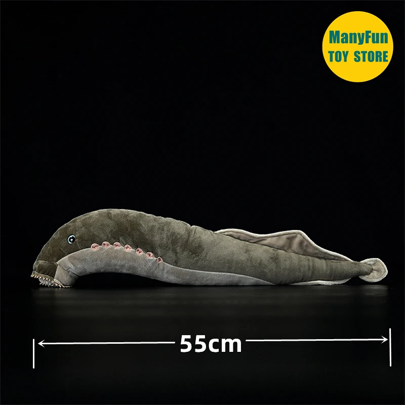 Lamprey Plush Toy High Fidelity Eel Plushie Hagfish Peluche Lifelike Stuffed Animals Simulation Doll Kawai Toy Gifts 3