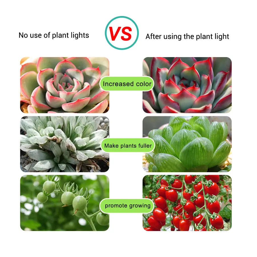 LED Grow Light DC 5V USB Full Spectrum 2m 3m Plant Light Strip Phyto Lamp Vegetable Flower Seedling Tent