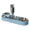 High-Capacity Pet Feeder Bowl Set with Beveled Mouth Automatic Drinking Water Splash-Proof Multi-Functional Cat Dog Food Bowl 3
