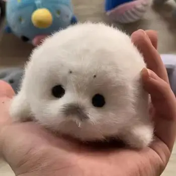 Baby Seal Plush Toy 12cm 1