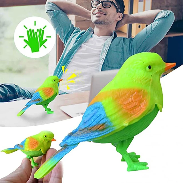 Pet Birds For Kids