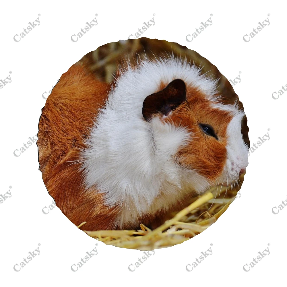 �Ϳ��� ����Ǳ� ����Ʈ �ڵ��� ����� Ÿ�̾� Ŀ��, ��� ��ȣ, Ʈ�� SUV Ʈ���Ϸ�, �ڵ��� �׼�����, ķ�� ���, 14-17 ��ġ