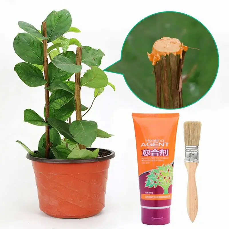 Slide image 6c6b0171dbf04203b131bad8cee9441b