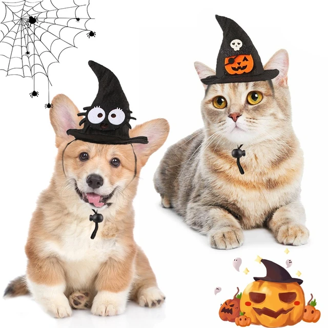 Fashion Cat Clothes Bat Wings Funny Dog Costume Artificial Wing Pet Cosplay Prop Halloween Christmas Cat Costume Pet Products 4
