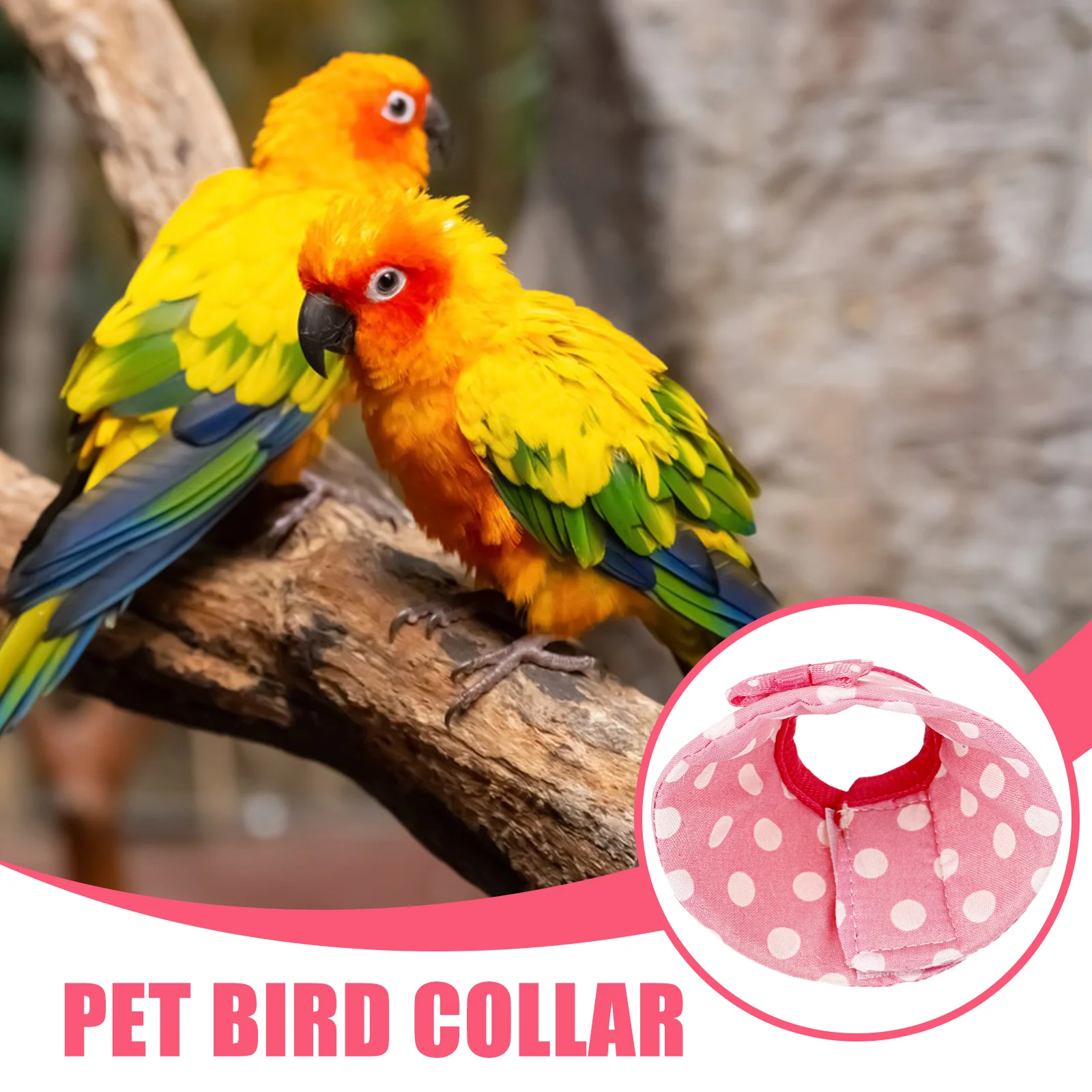 Parrot Collar Anti Biting Bird Protective Collar Parrot Neck Cone Elizabeth Circle Bird Anti Pecking Pet Products