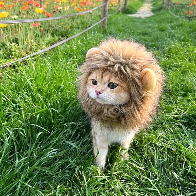 Cute Cat Hat Lion Headgear Elastic Autumn Winter Pet Hat Puppy Kittens Hat Party Photo Shoot Props Decoration Cat Accessories 4