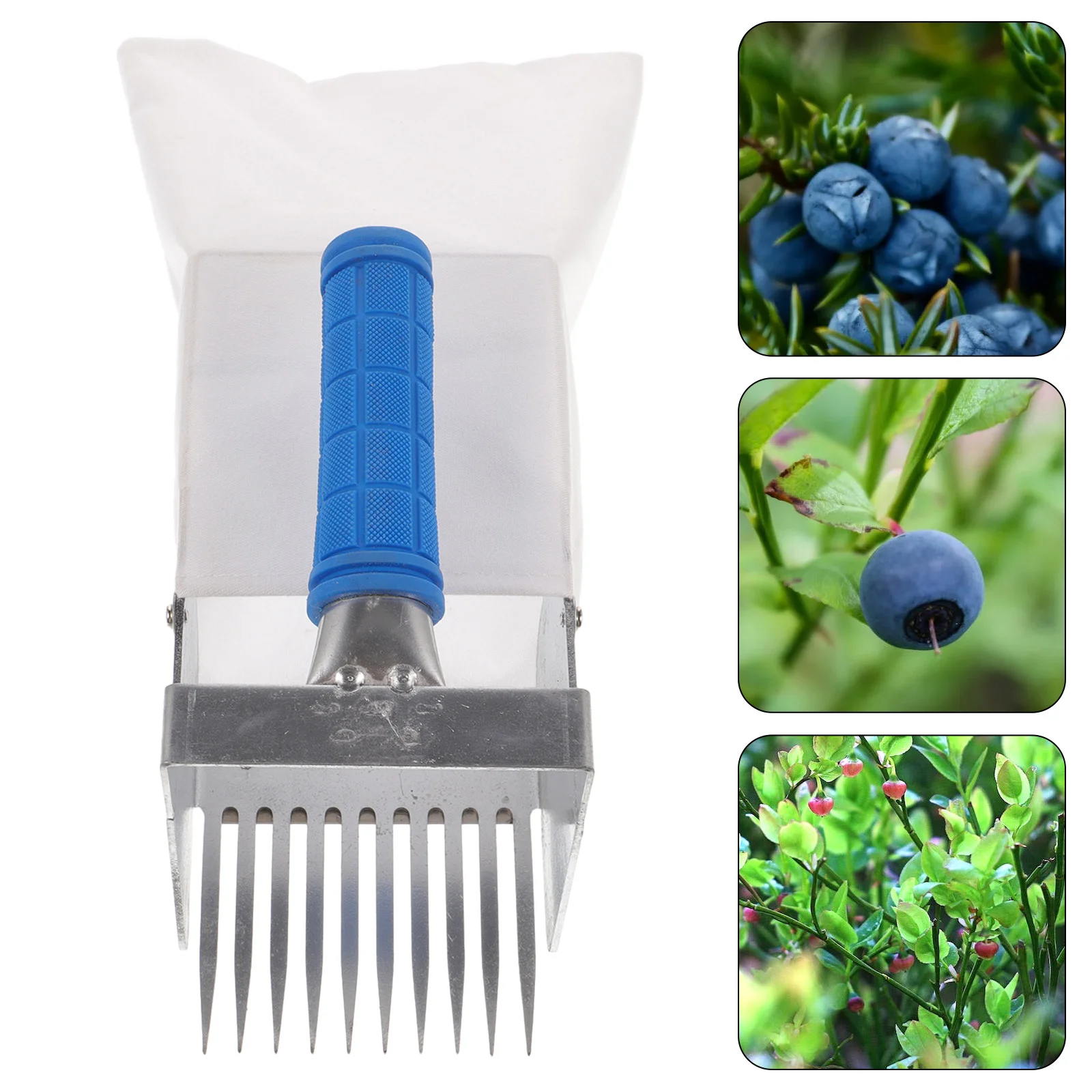 Blueberry Picking Tools Picker and Rake Scoop Fruit Fruits Raspberries For Home Gardening with Handle