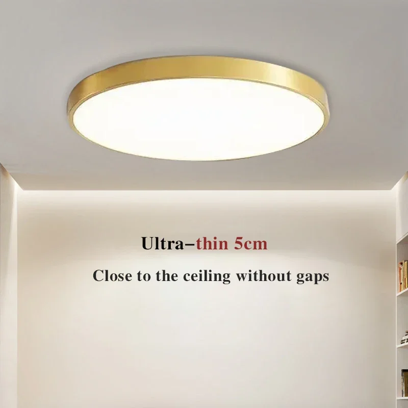 

Modern LED Ceiling Light Dimmable Gold Lights For Hotel Bedroom Living Room Study Balcony Hallway Apartment Lighting Fixtures