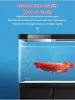 Fish tank water purification agent Water quality clarifier aquarium cleaning liquid water purification treasure sterilization 6