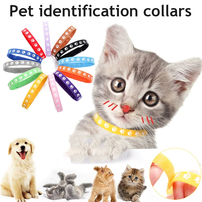 12pcs Dogs Collars Colorful Classic Simple Puppy Kitten Identification Collar Kitten Whelping ID Collar Bands Pet Supplies