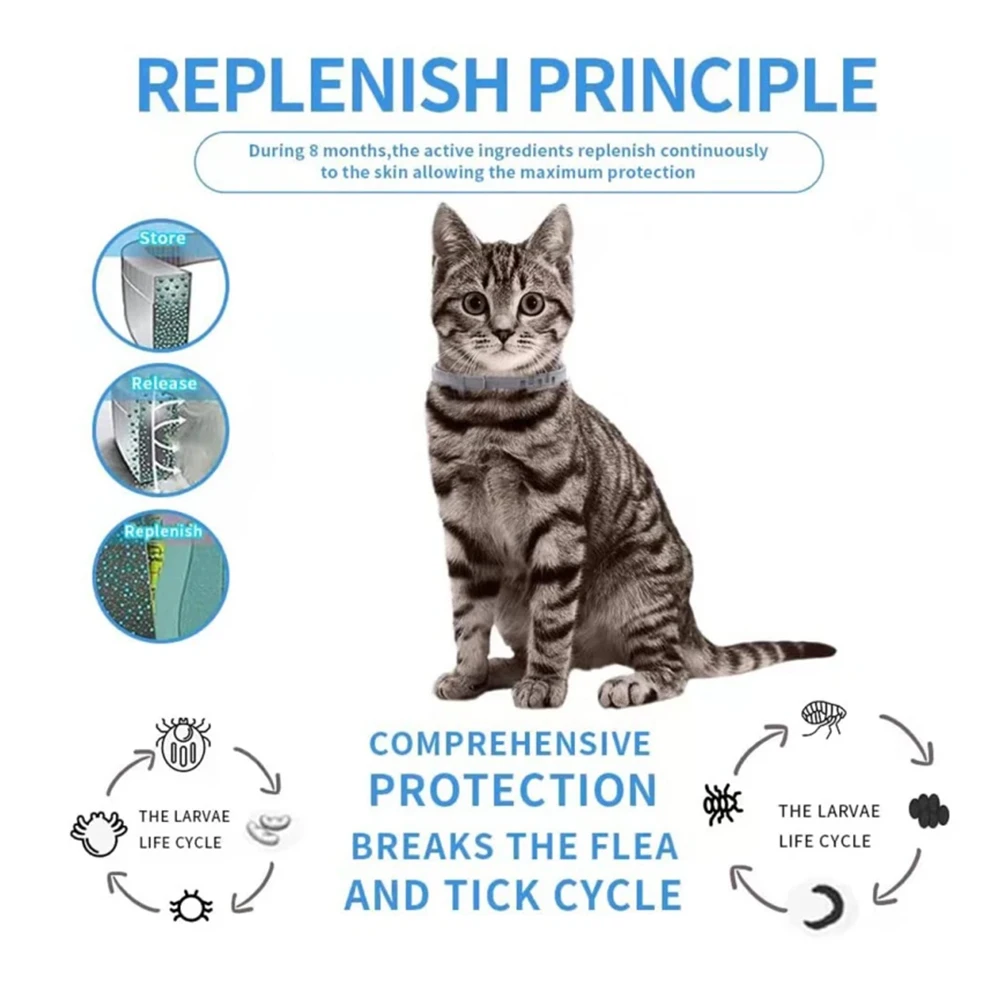1Pc cat collar, waterproof, decorative, adjustable, suitable for kittens, the best choice for cat owners