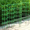 Green Plant Support Pile Frame Greenhouse Arrangement Semicircle Fixed Rod Indoor Flower Plants Vine Climbing Bracket Hock Pen 2