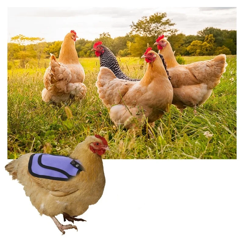Waterproof Chicken Saddle Protector Apron