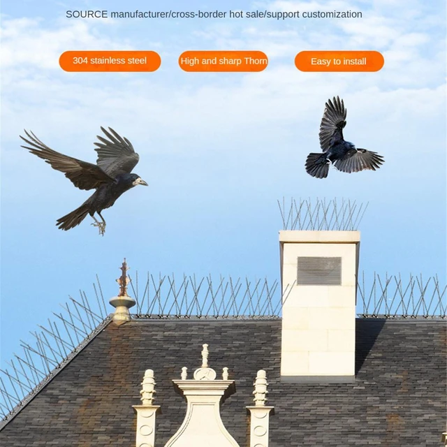 Répulsif anti-oiseaux en acier inoxydable pour balcon, pointes de pigeon  anti-oiseaux, dissuasif, kit de clous d'épine anti-oiseaux - AliExpress