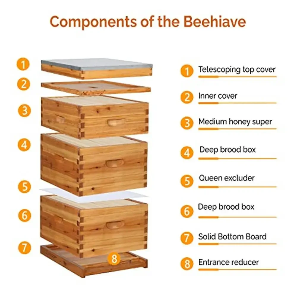 Wooden Bee Hive Kit 10-Frame Coated Beehive Starter Pack Frames Beeswax Foundation Sheets 3 Layer)